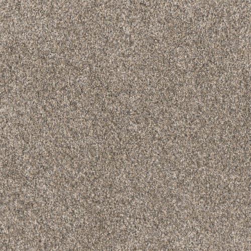 Affinity I in Spice