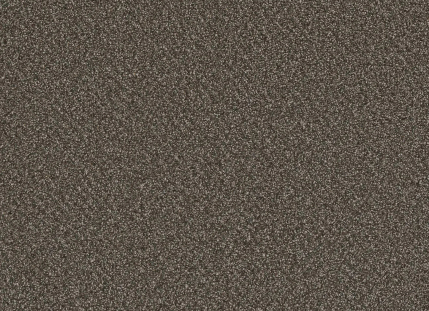 Metropolis I