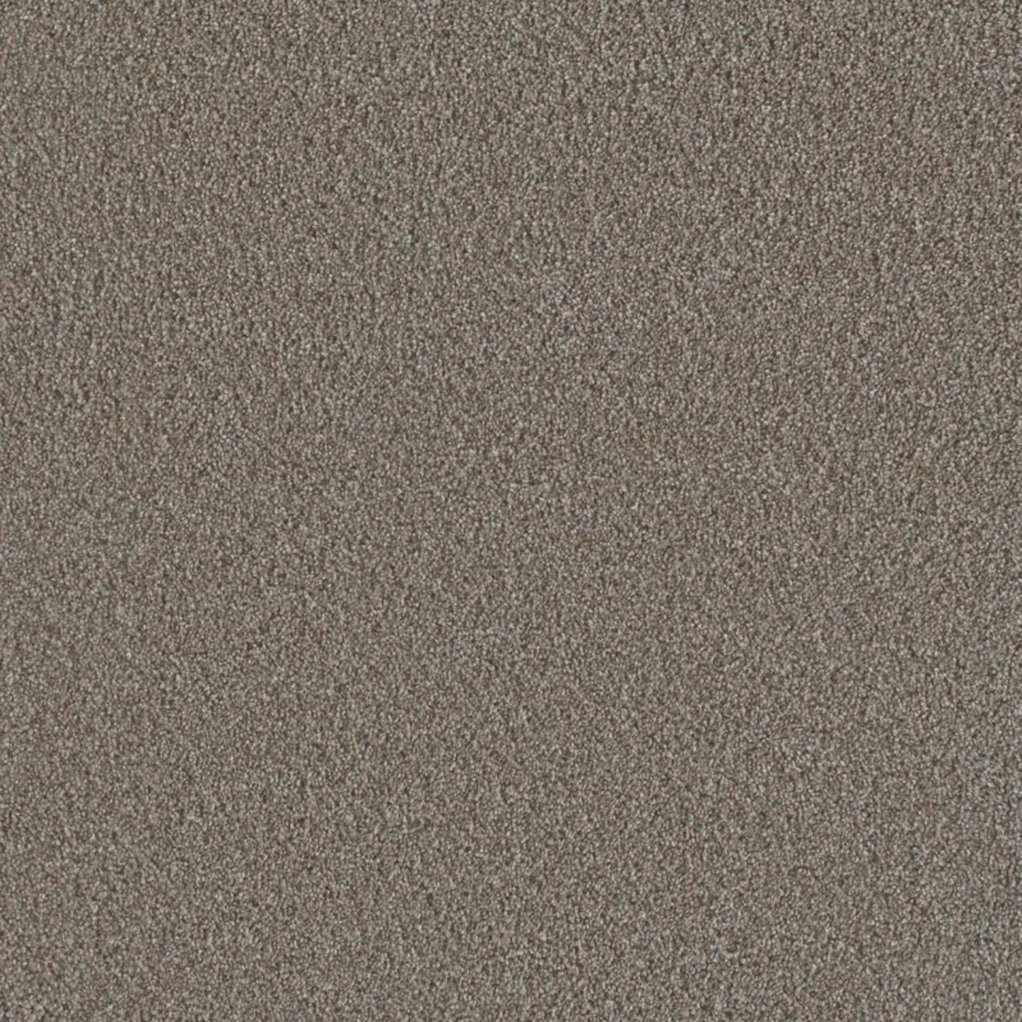 Metropolis III in Butter Pecan Carpet