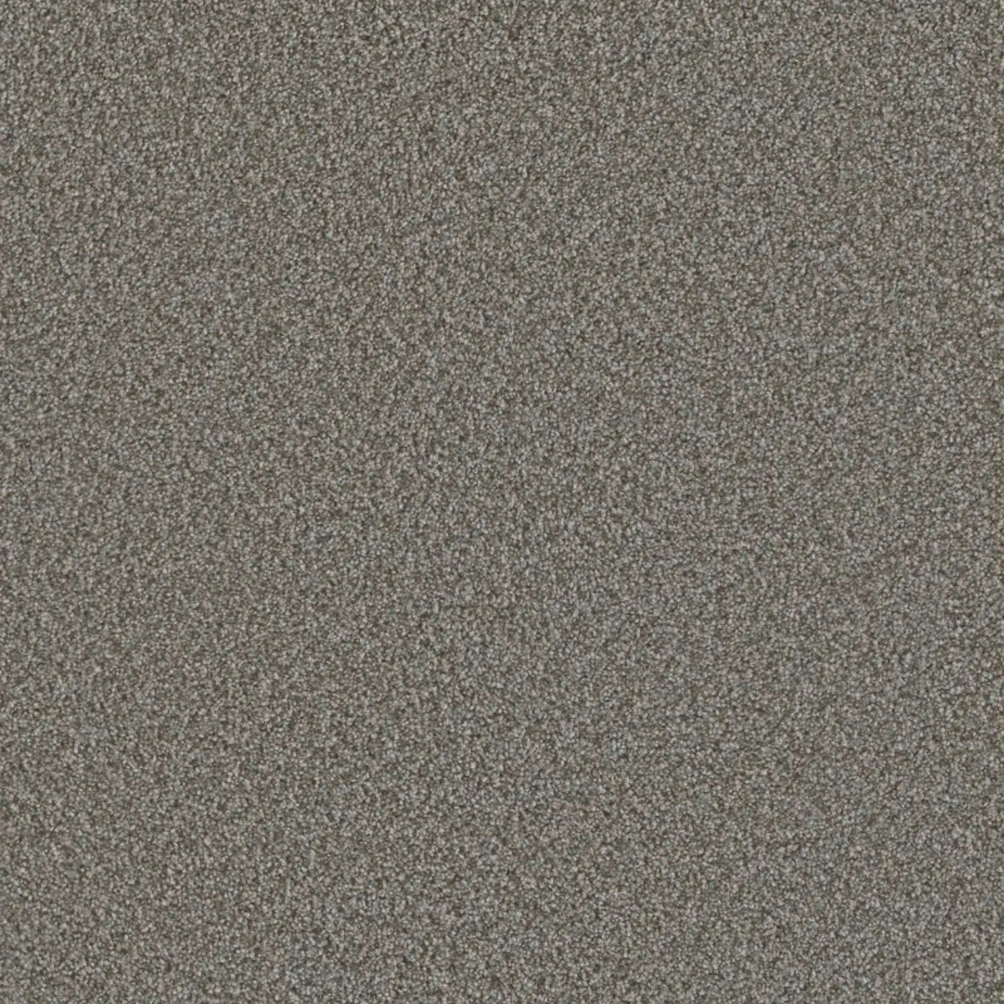 Metropolis III