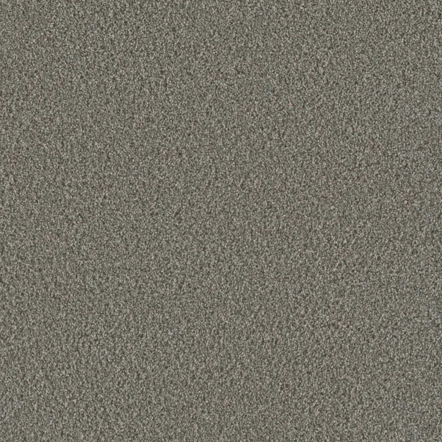Metropolis III