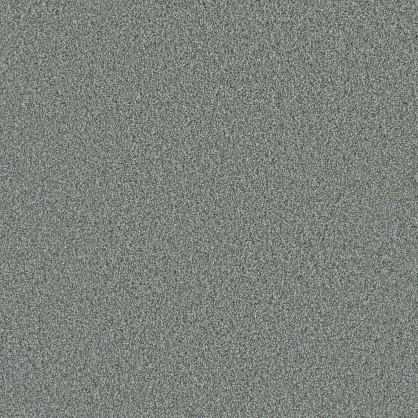 Metropolis III