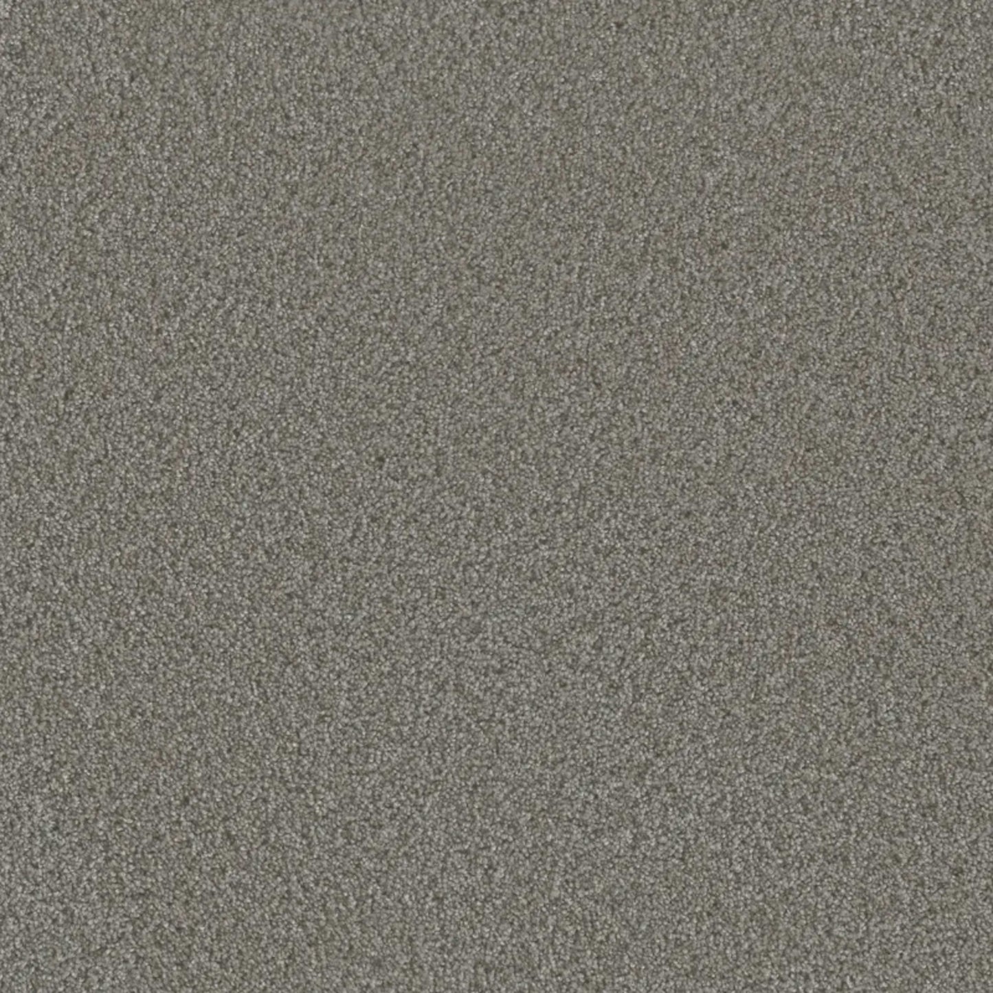Metropolis III