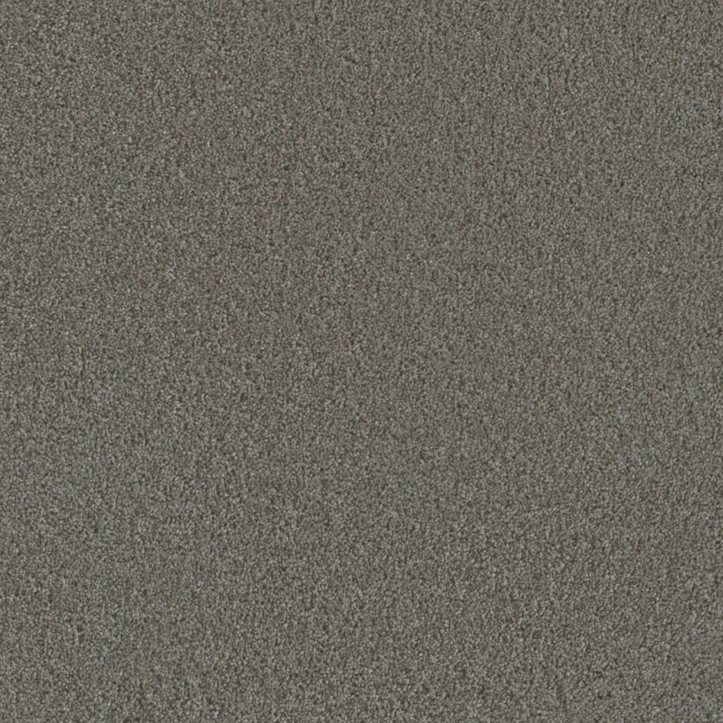 Metropolis III