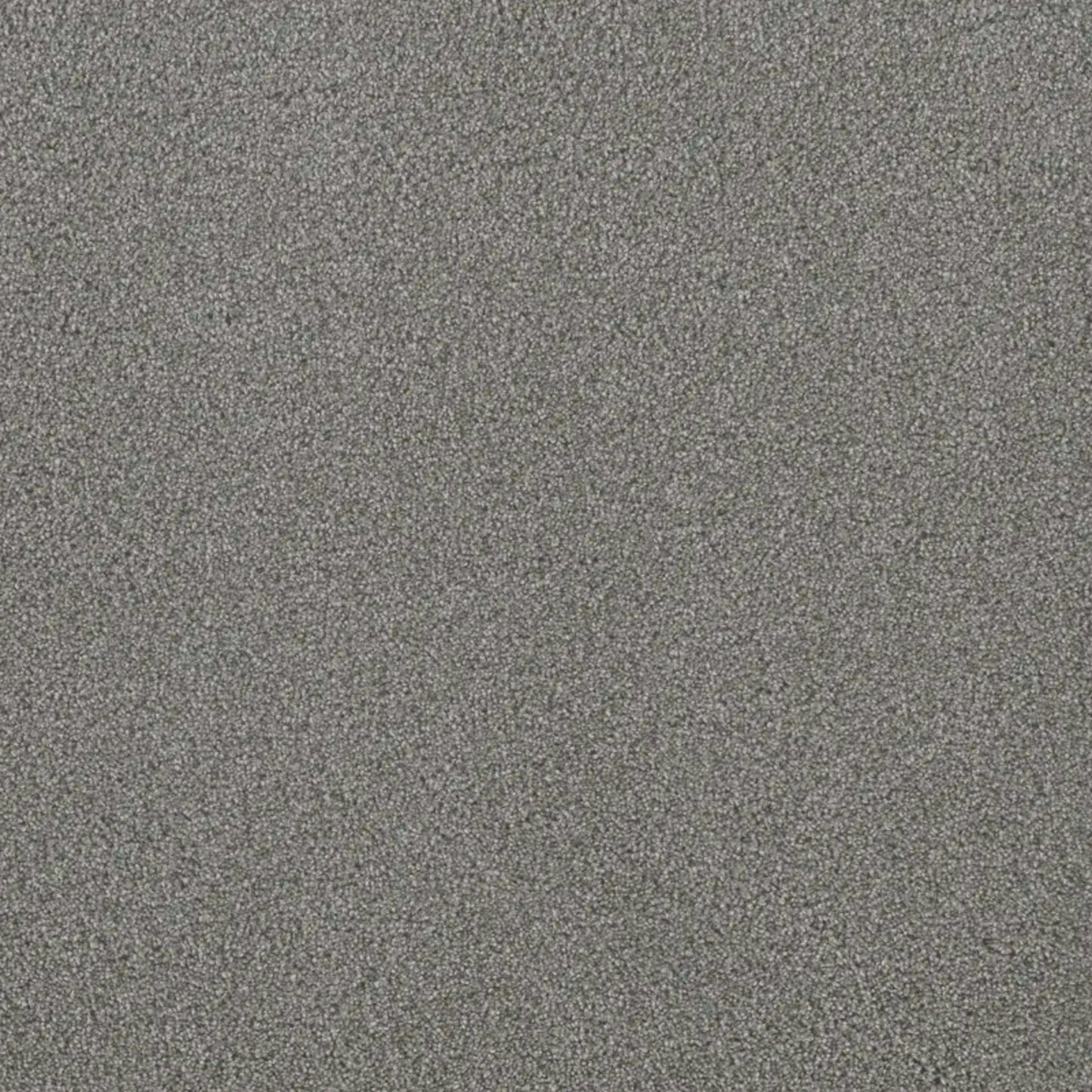 Metropolis III