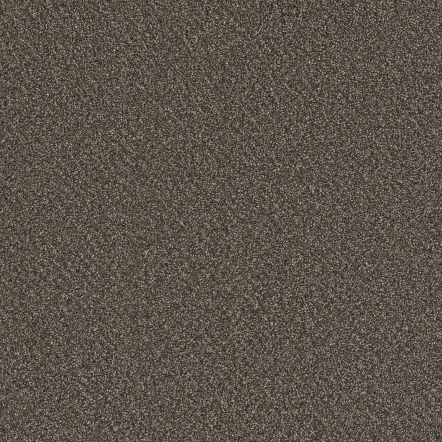 Metropolis III