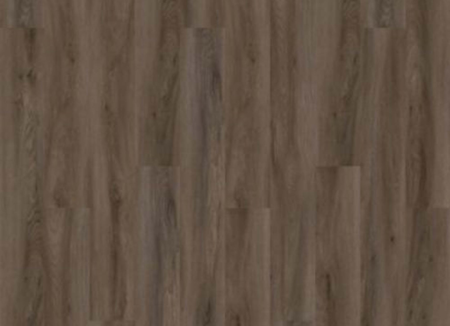 Pro Solutions Db in Brindle