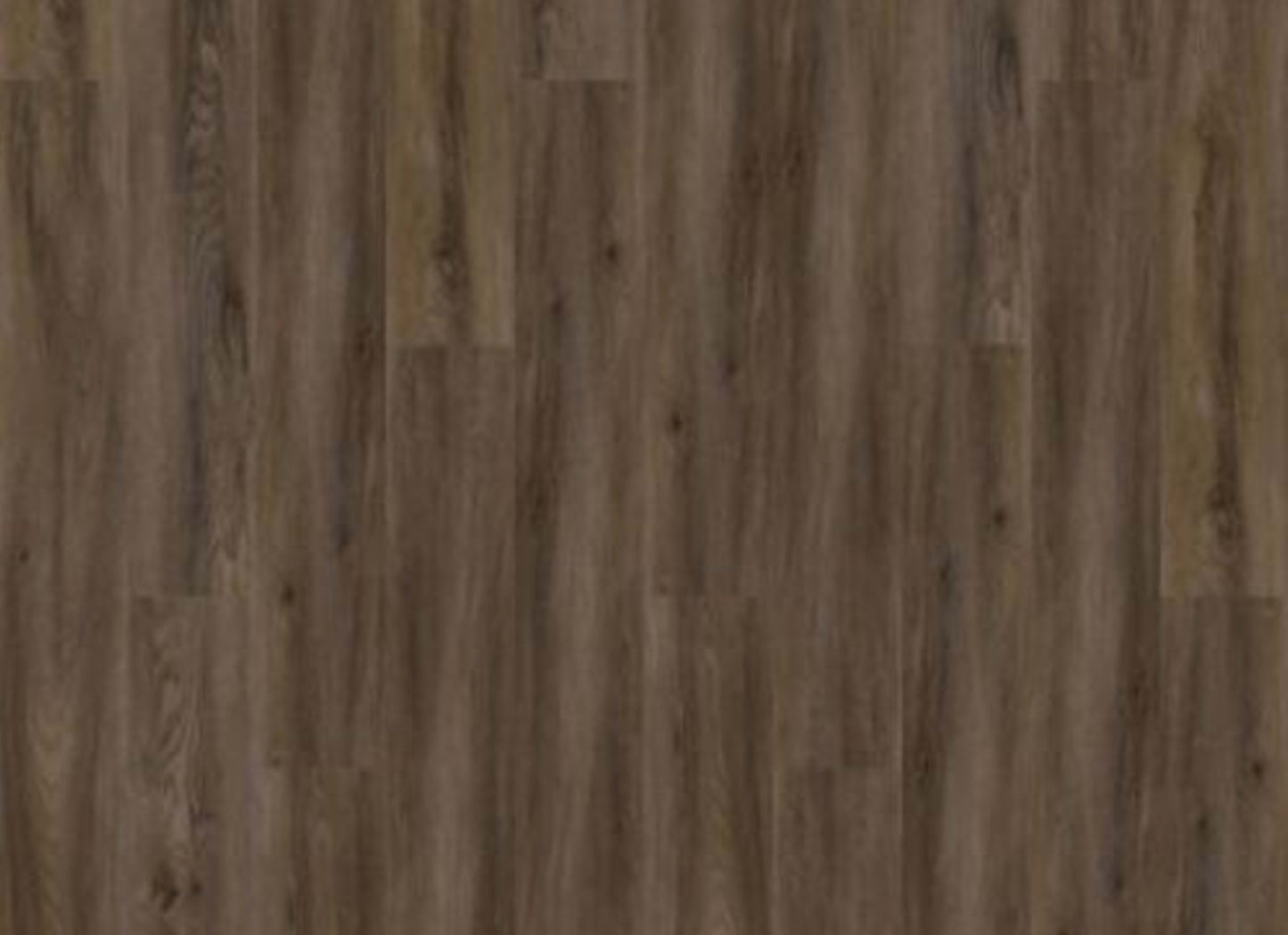 Pro Solutions Db in Sorrel