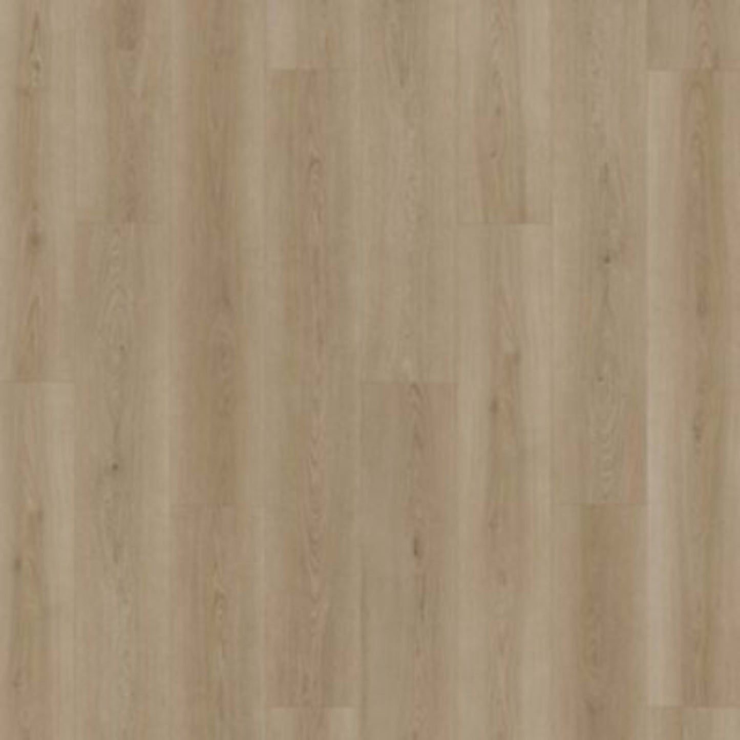 Hamilton Grove in Holland Luxury Vinyl