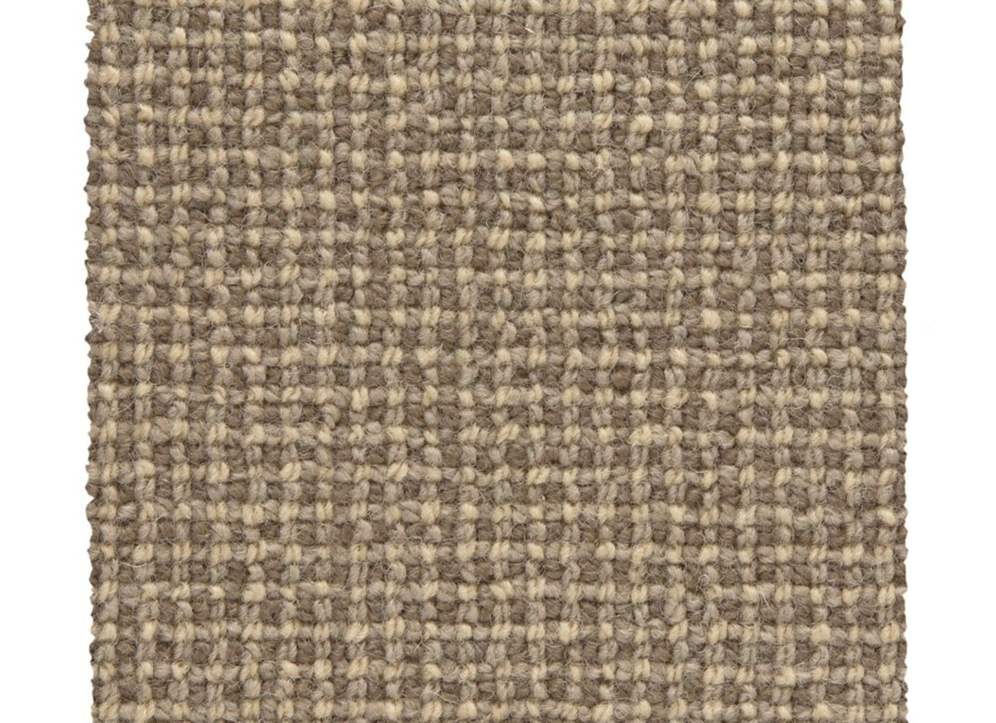 Needlepoint 3