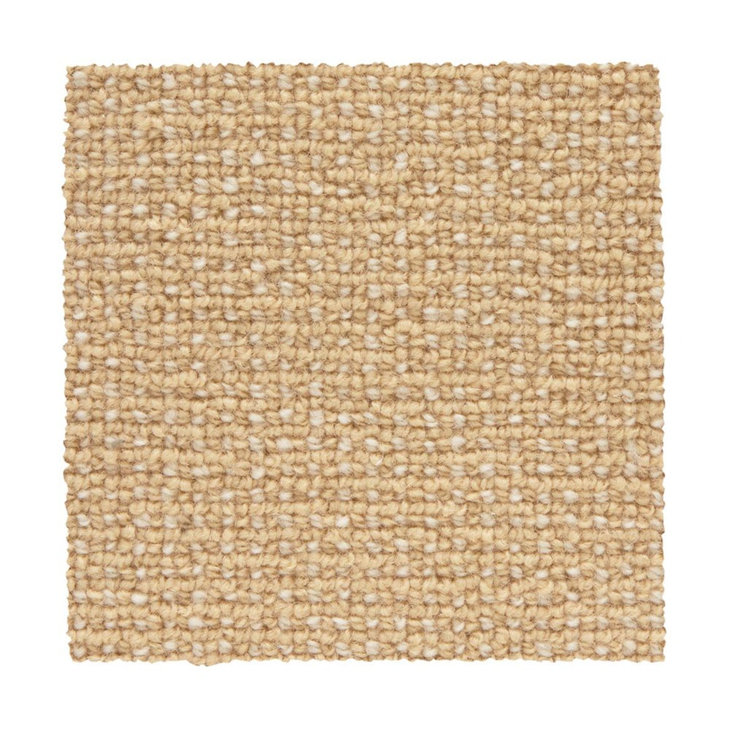 Needlepoint 3