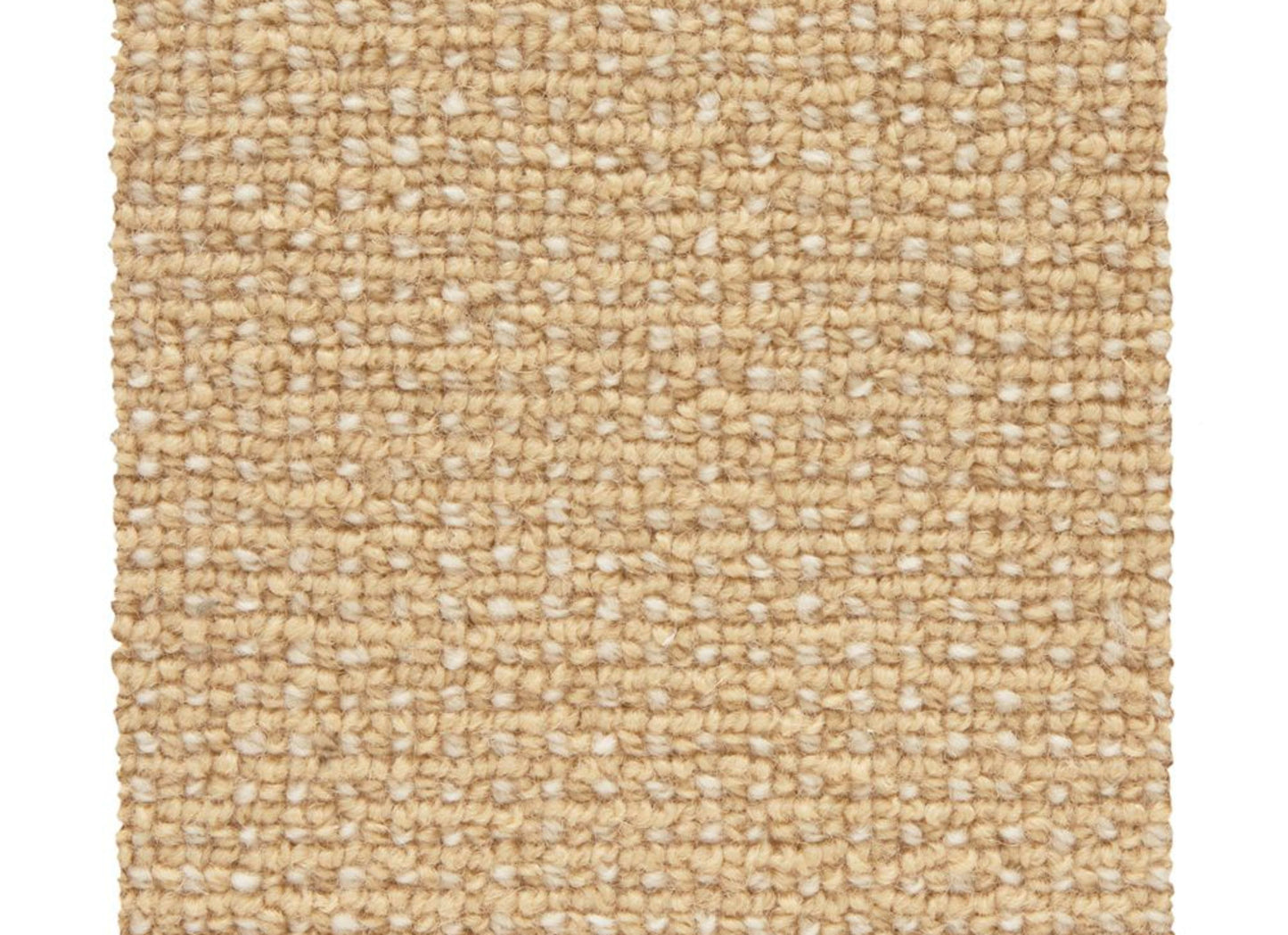 Needlepoint 3