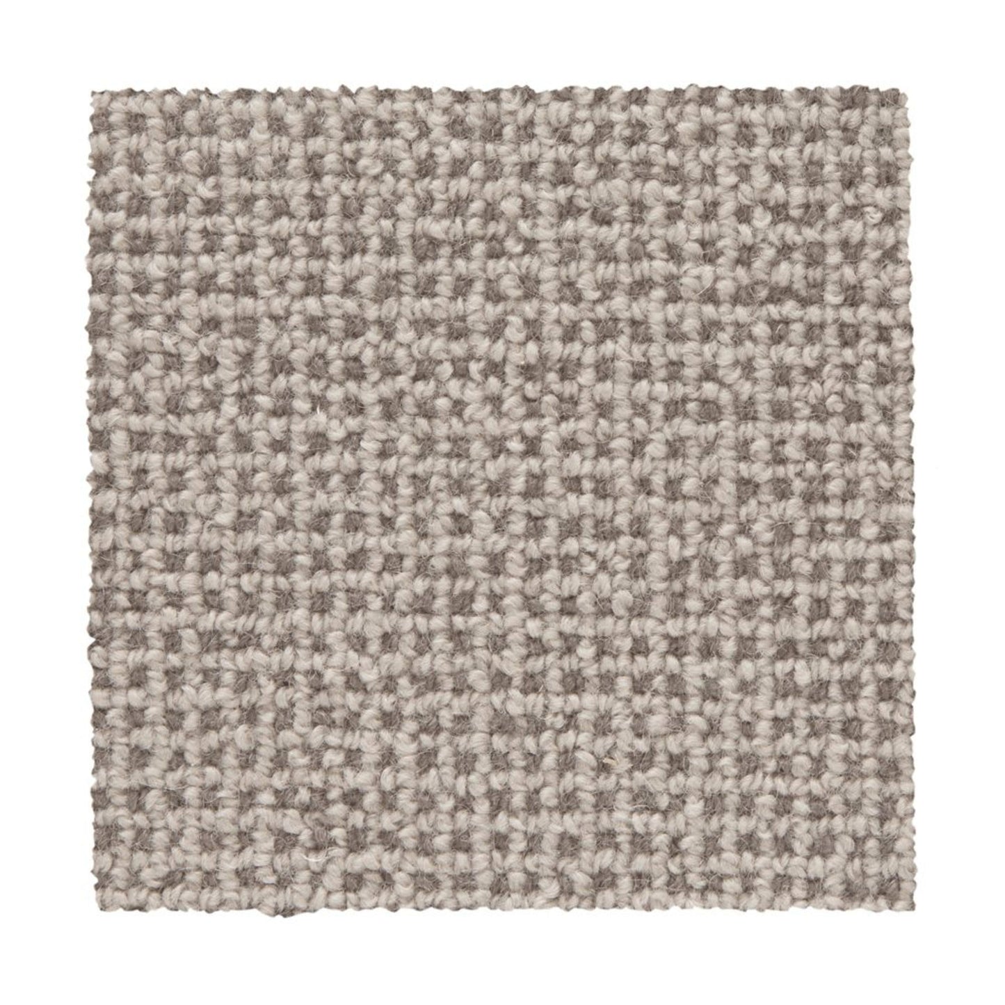Needlepoint 3 in Quartz Carpet