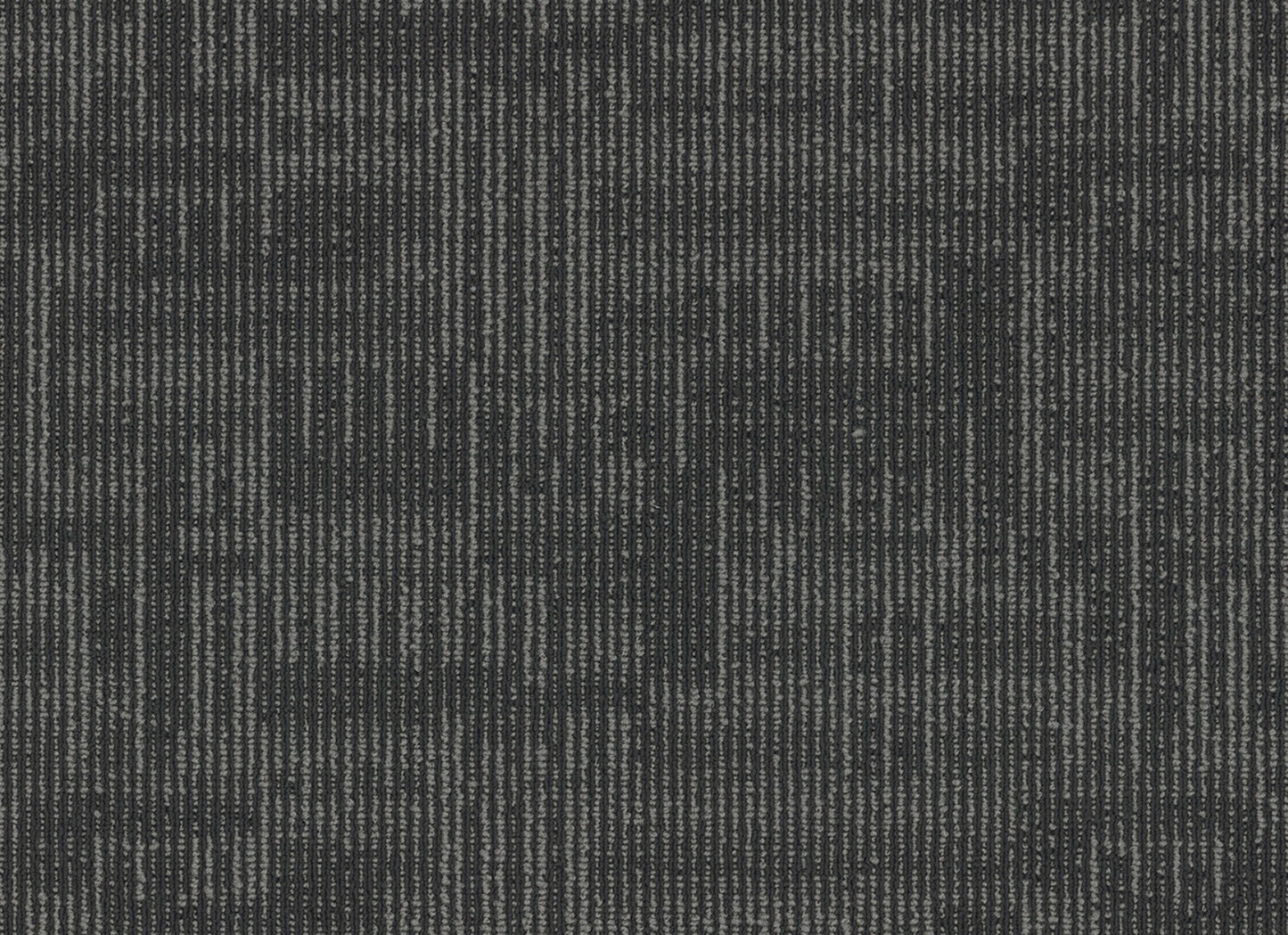 Echo Plank
