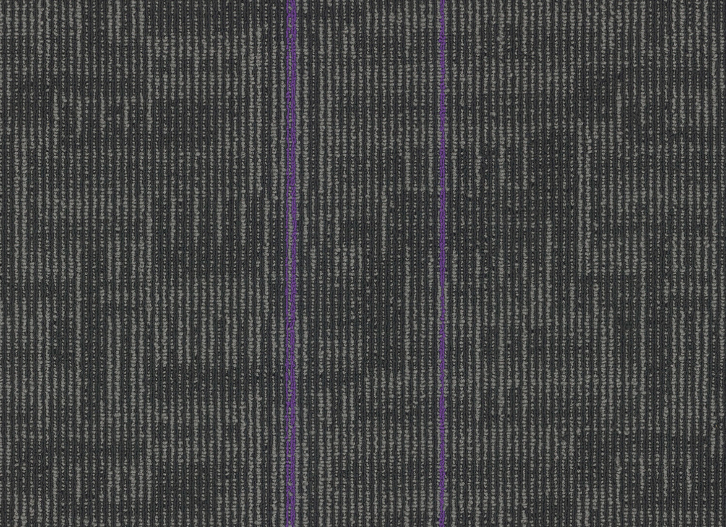 Echo Plank