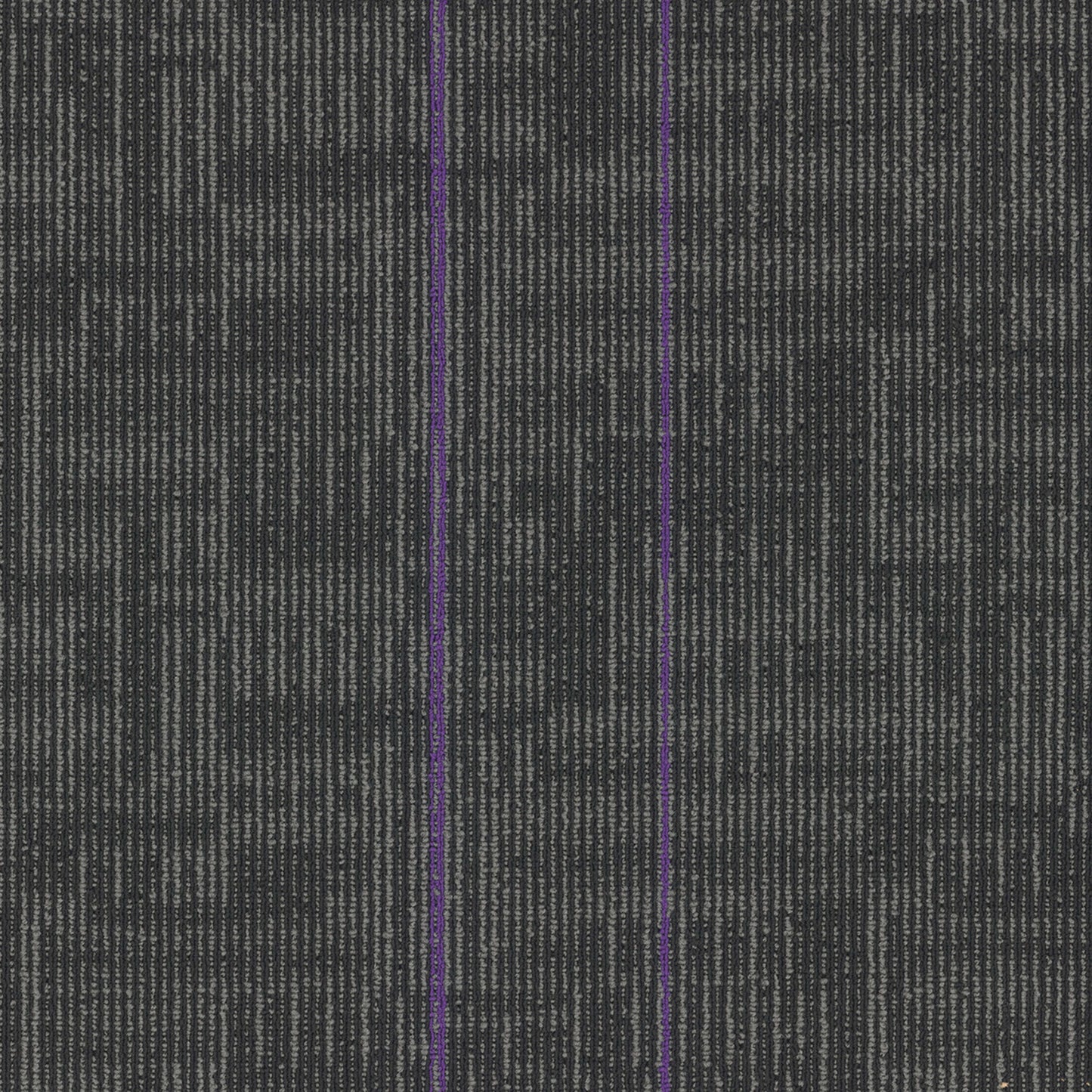 Echo Tile