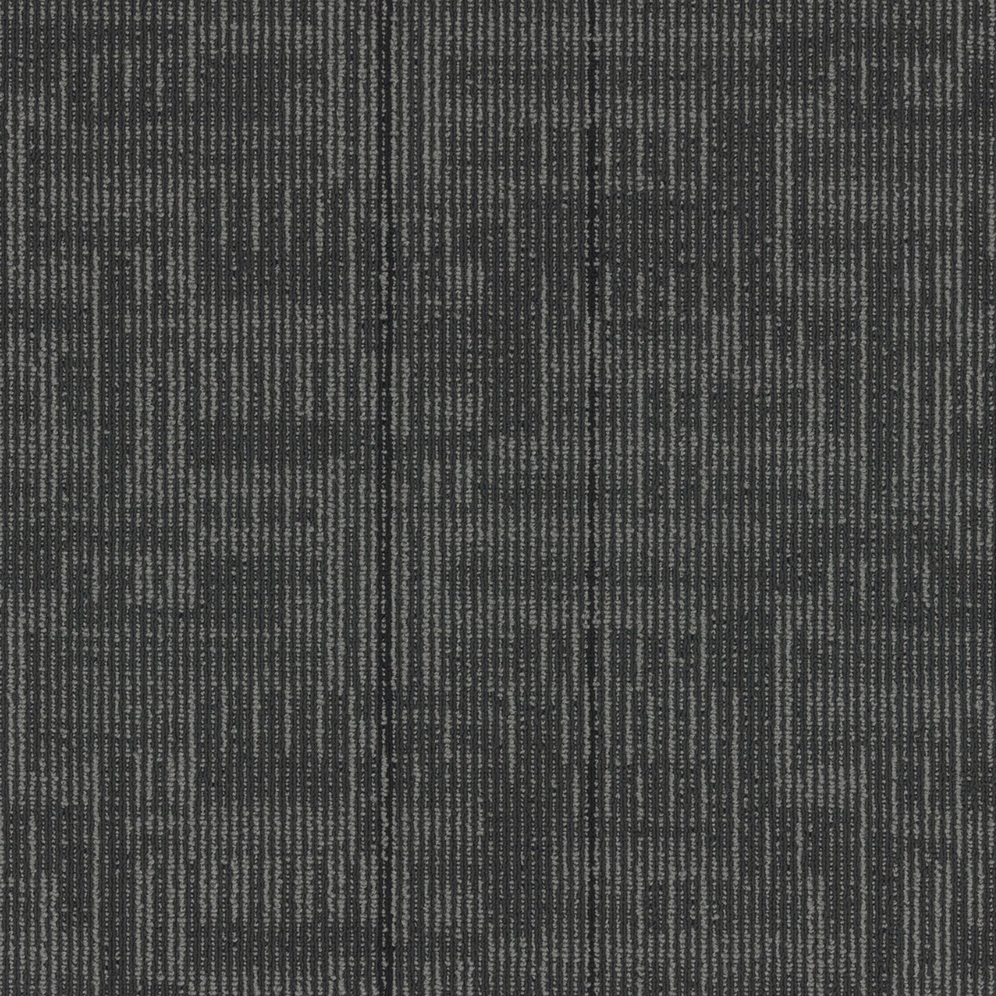 Echo Plank