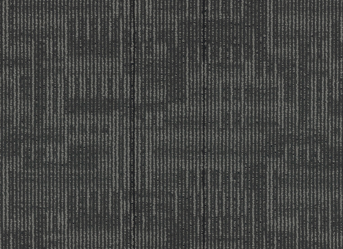 Echo Plank