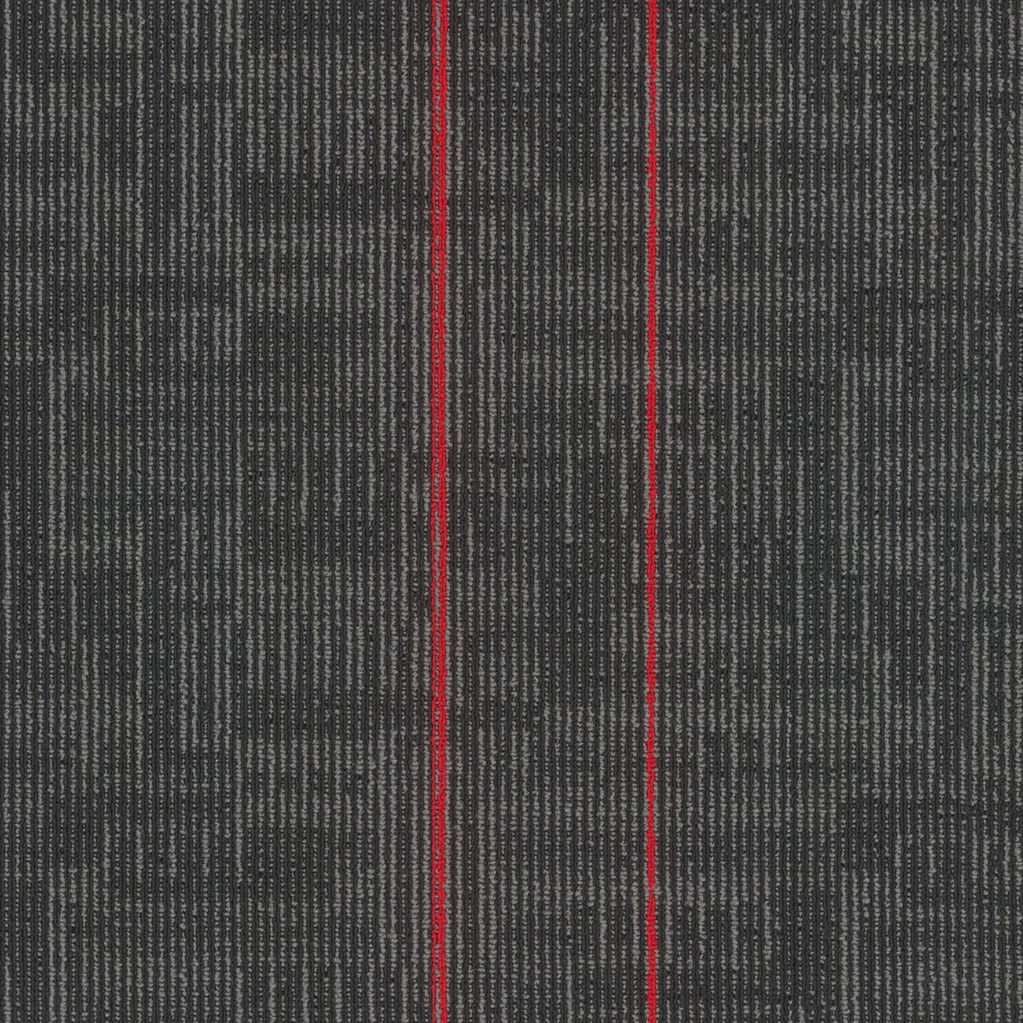 Echo Plank