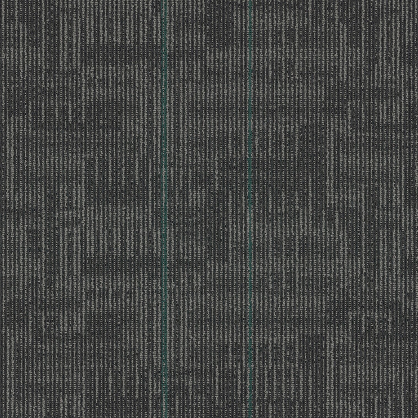 Echo Plank