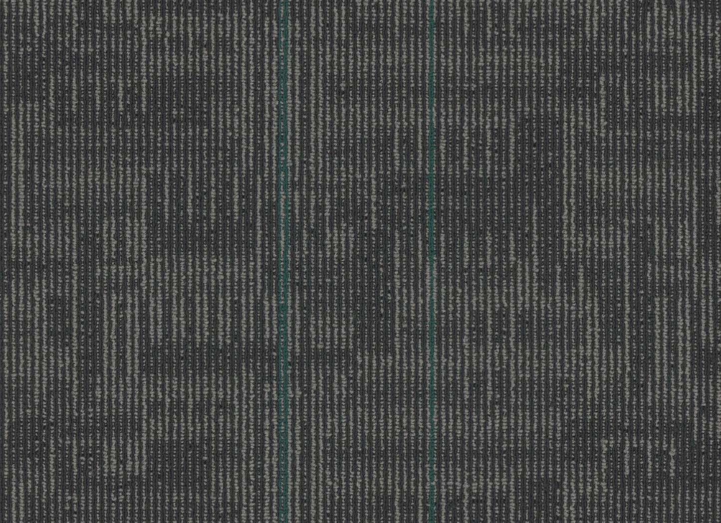 Echo Plank