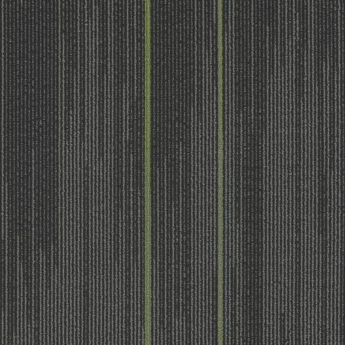 Reverb Plank in Parrot
