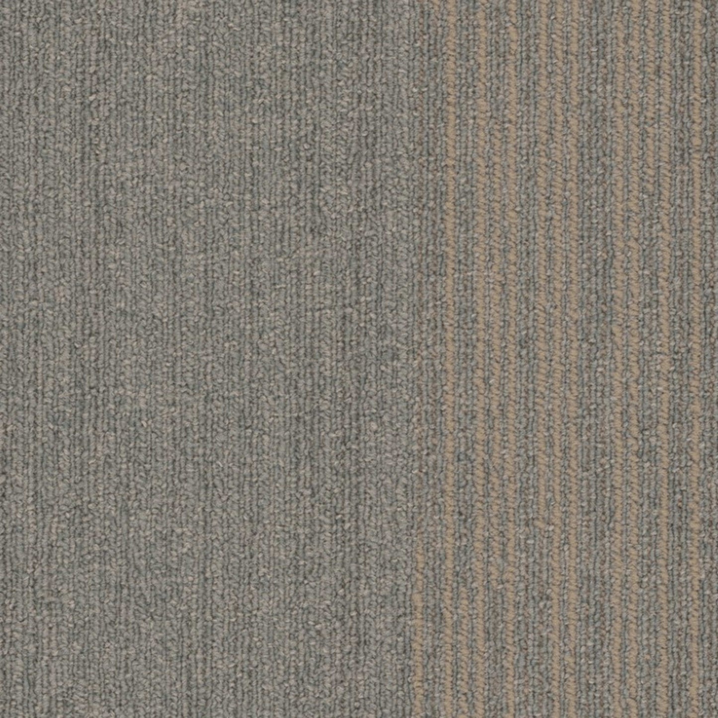 Cliffhanger Tile in Sierra Periona Carpet Tile