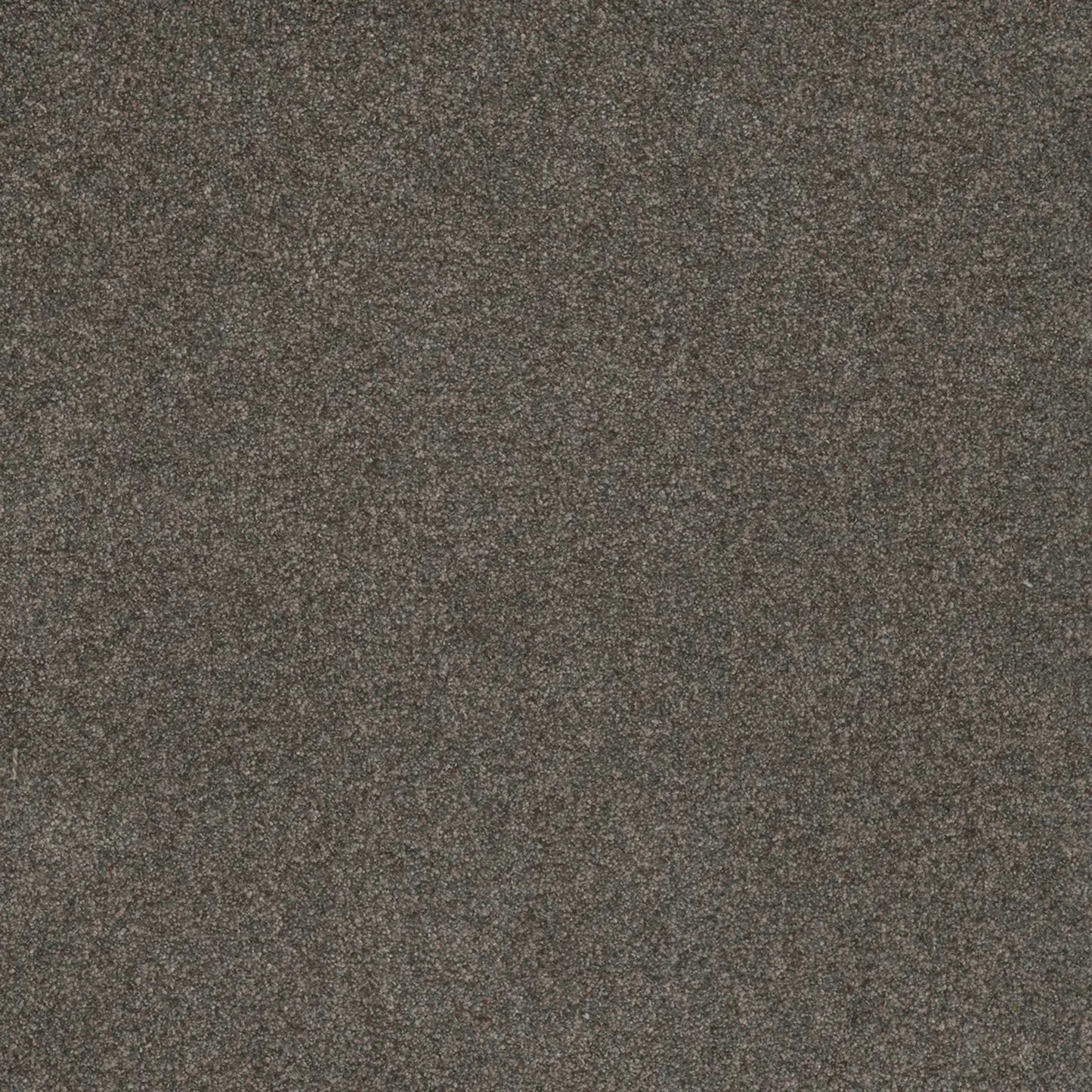 Serene I