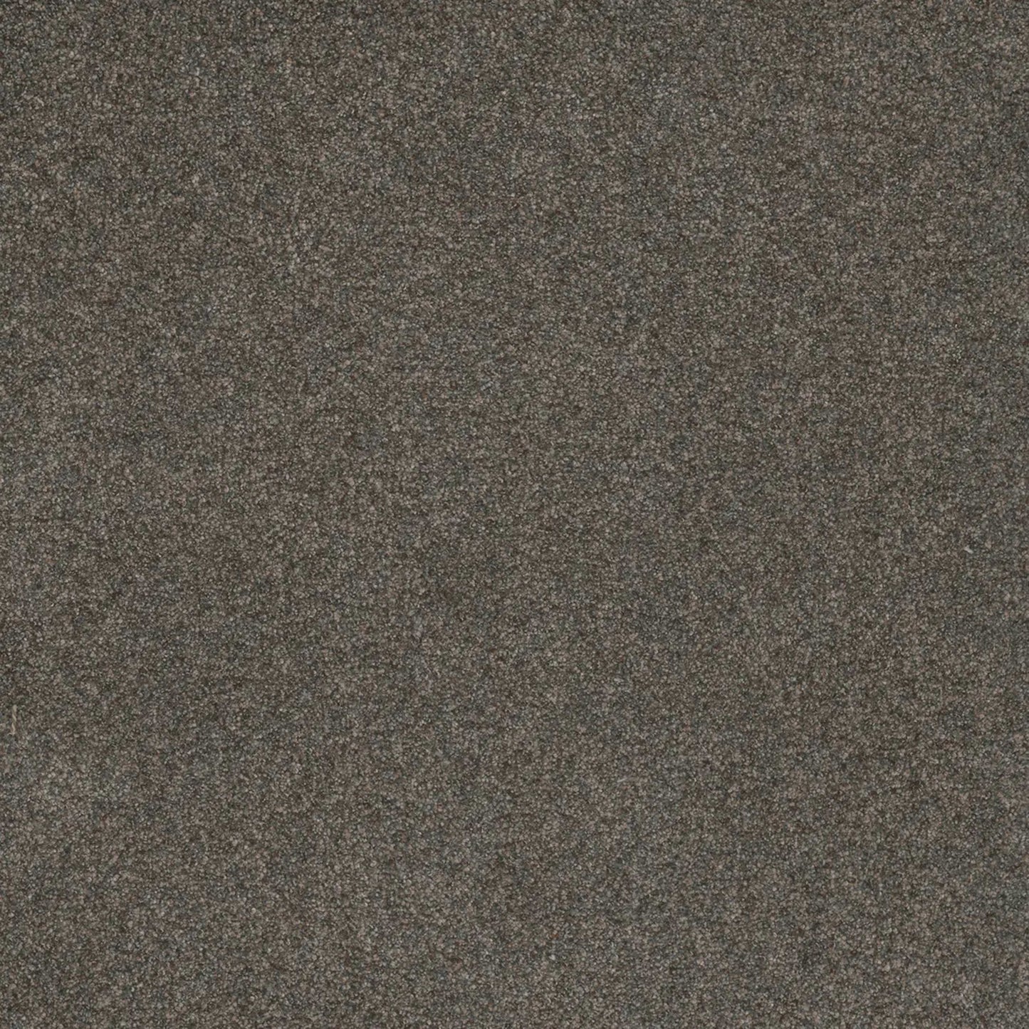 Serene III in Electric Carpet