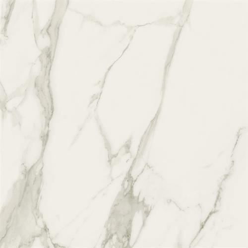 Stratus in Grigio Polished - 12x24 Tile