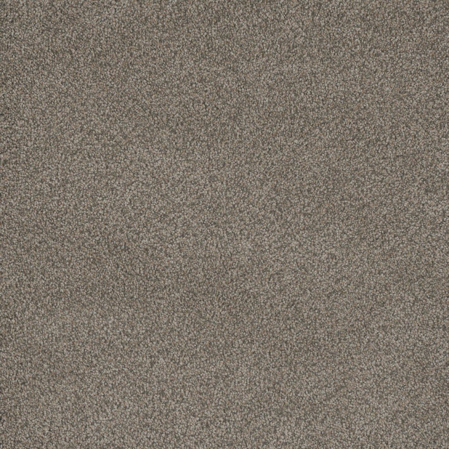 Monte Carlo II