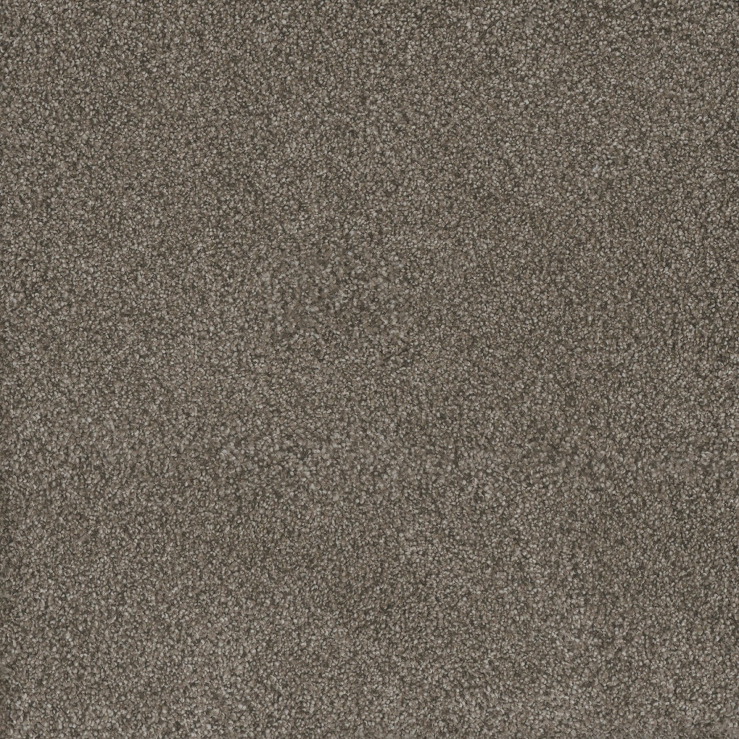 Monte Carlo II