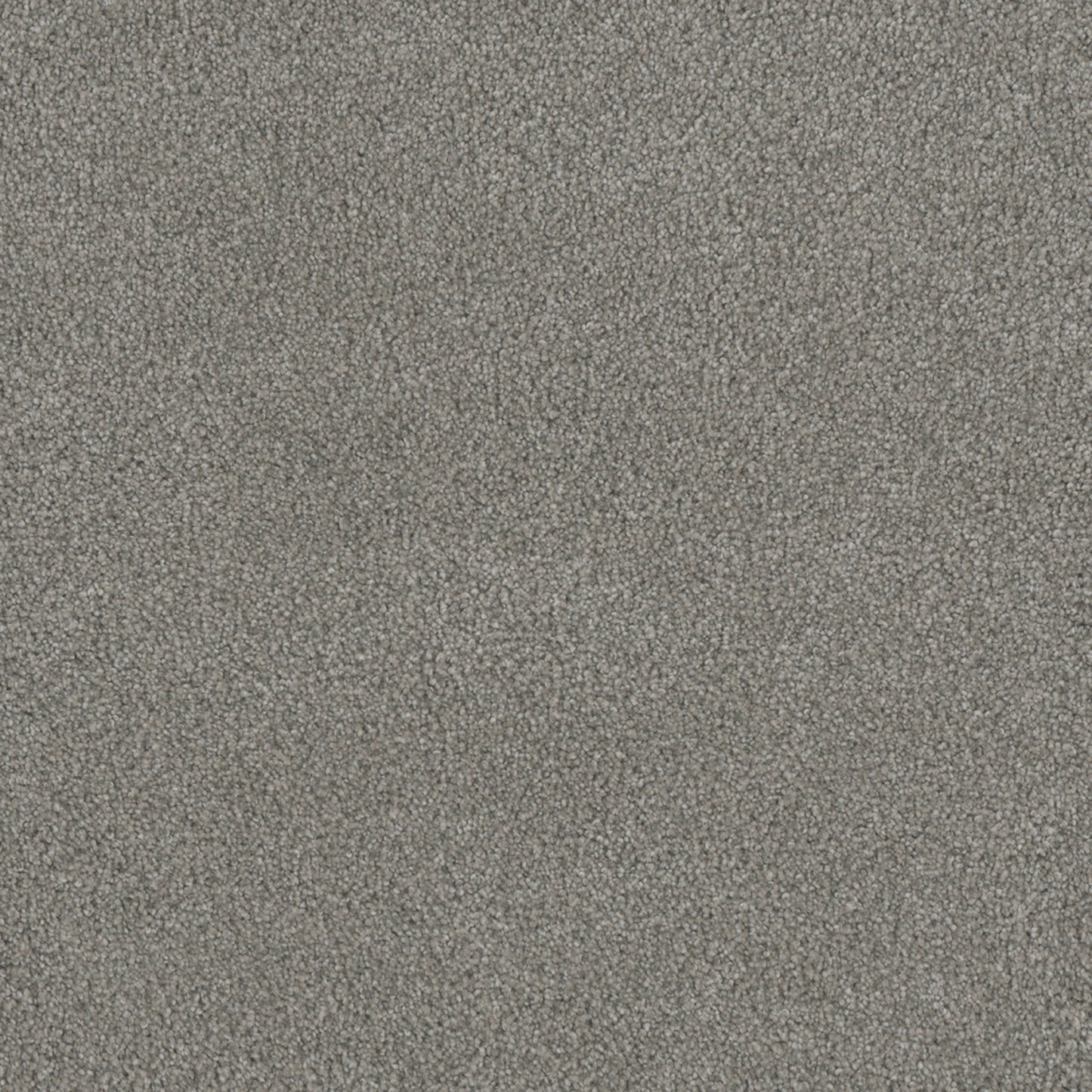 Monte Carlo II