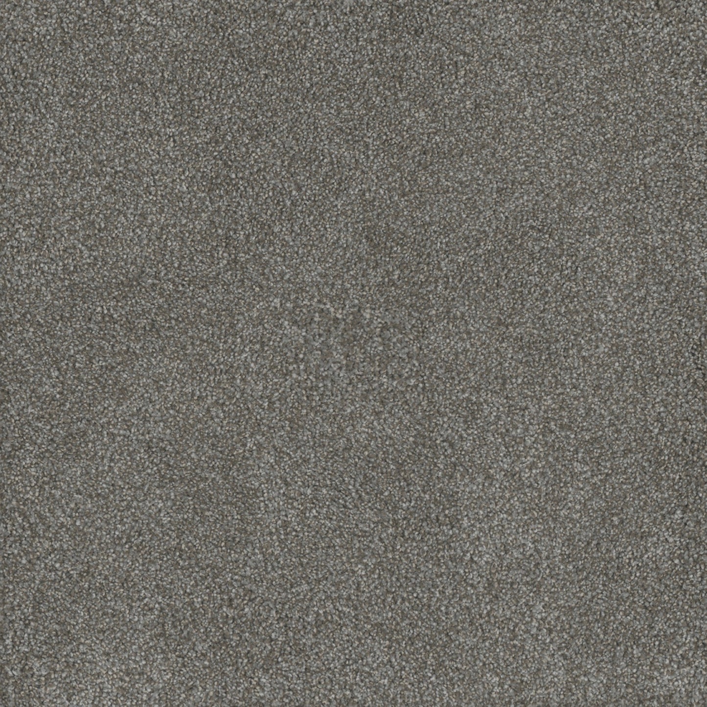Monte Carlo II in Jadestone Carpet