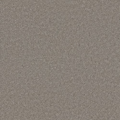 EXCEPTIONAL II in Clam Shell