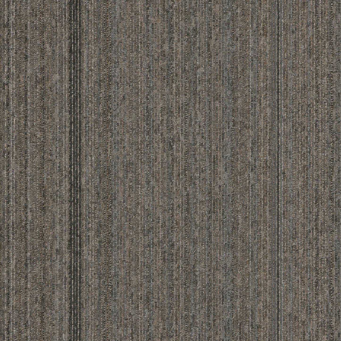 Linea Tile