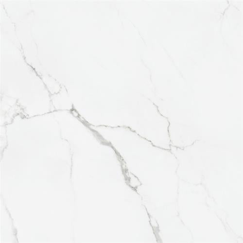 Statuario in Statuario Glossy - 12x24 Tile