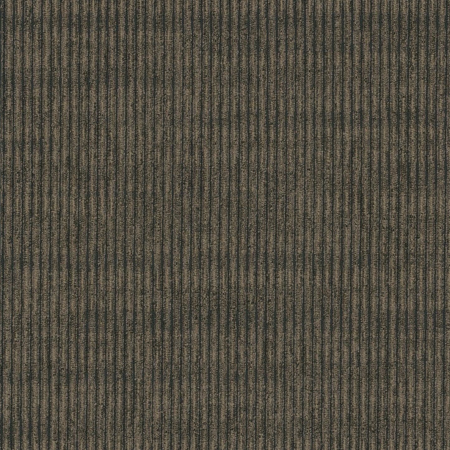 Sidewinder Tile