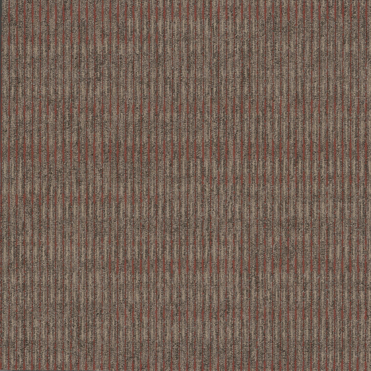 Sidewinder Tile