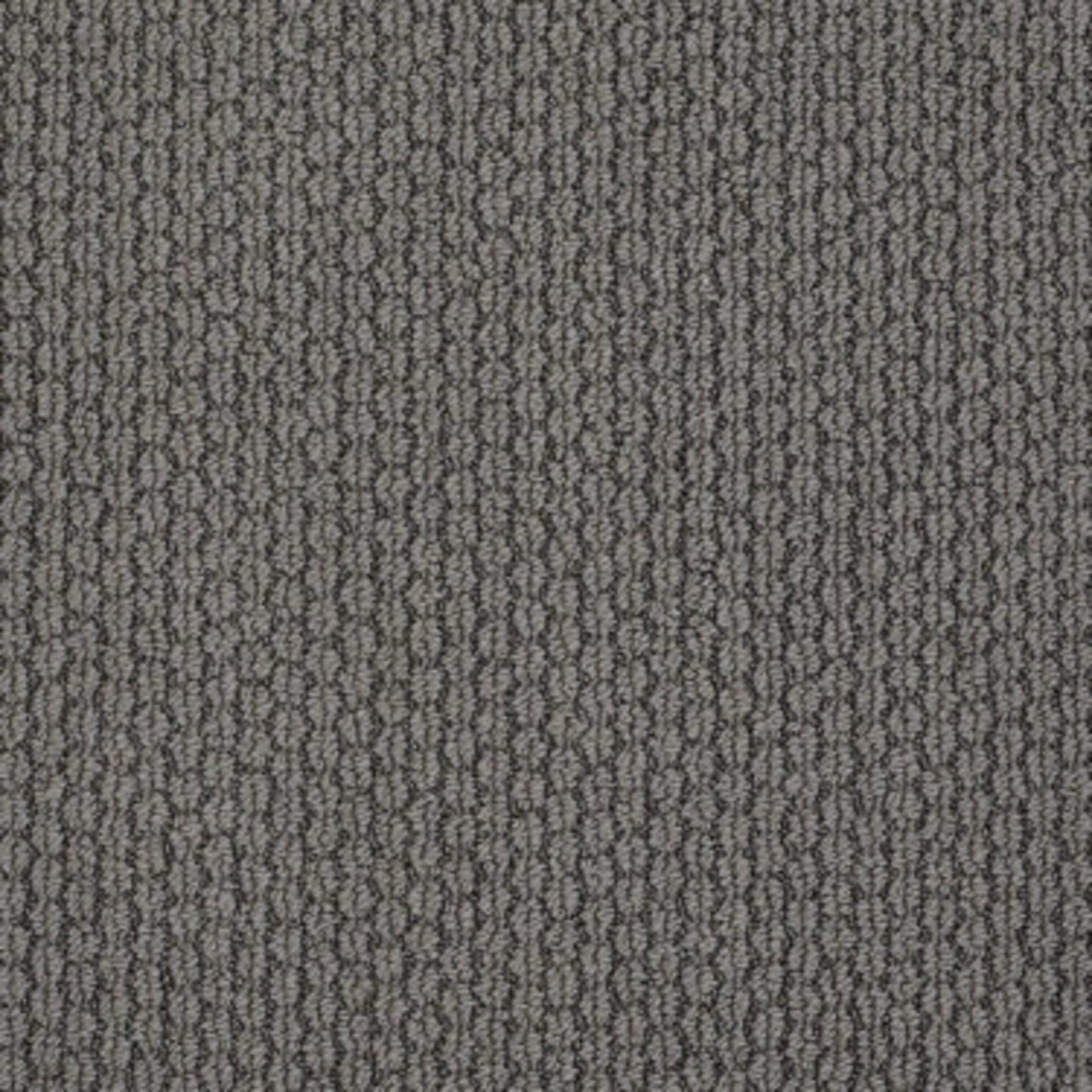 VISIONARY in Charcoal Carpet
