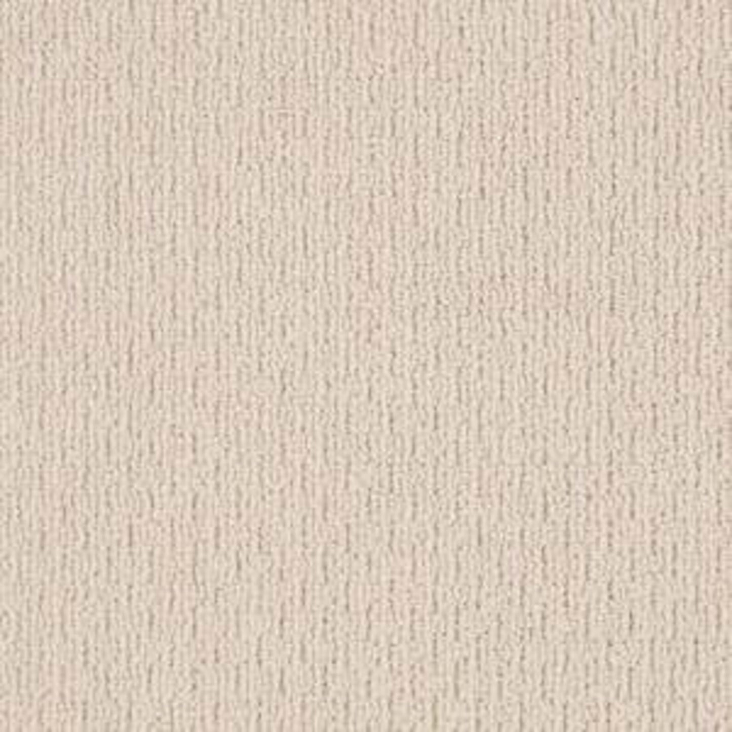 City Charmer in Chic Cream Carpet