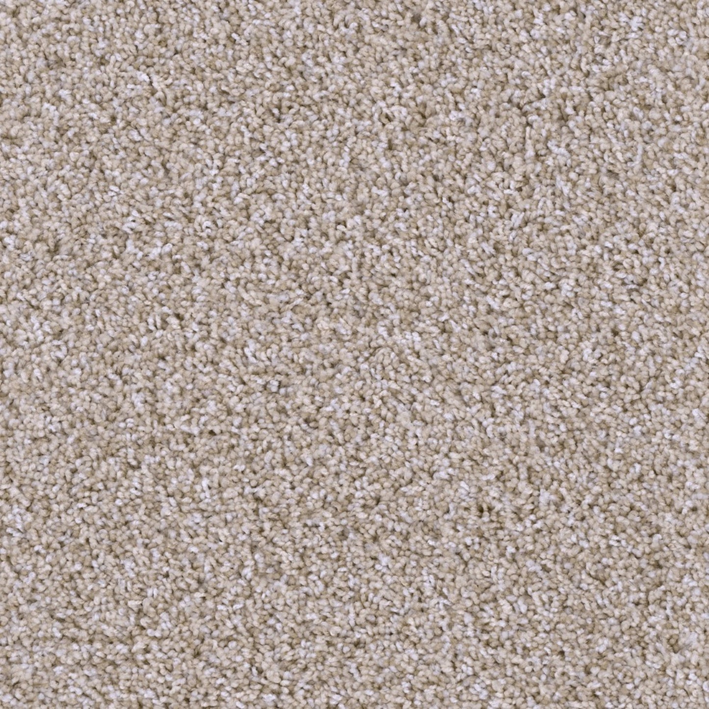 Missionary Ridge in Crystal Coast Carpet