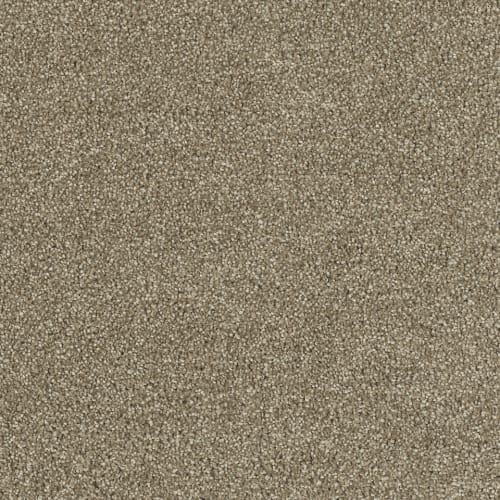 Hollywood in Sienna Sand