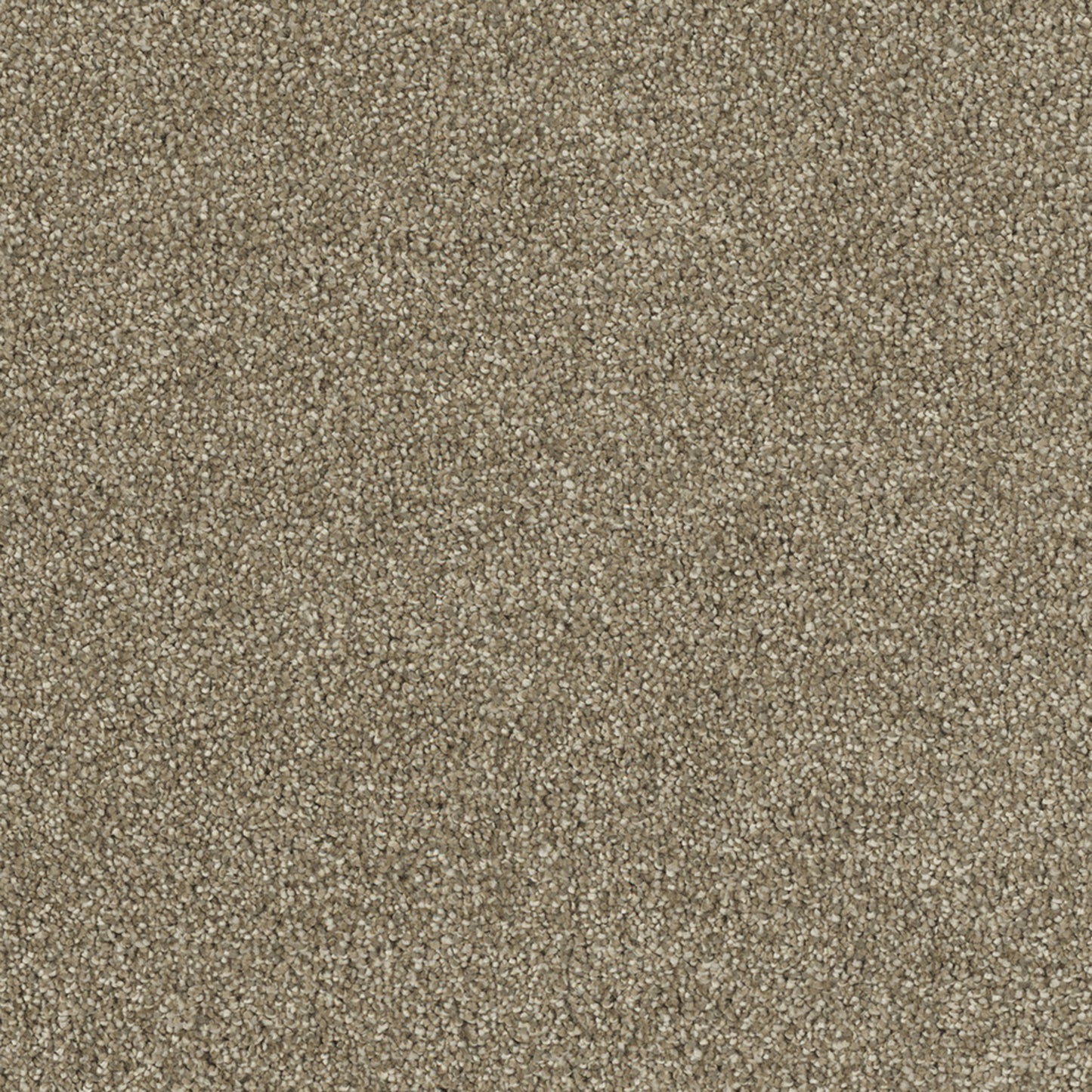 Hollywood in Sienna Sand Carpet