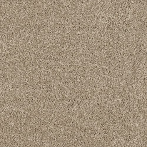 Hollywood in Warm Teak