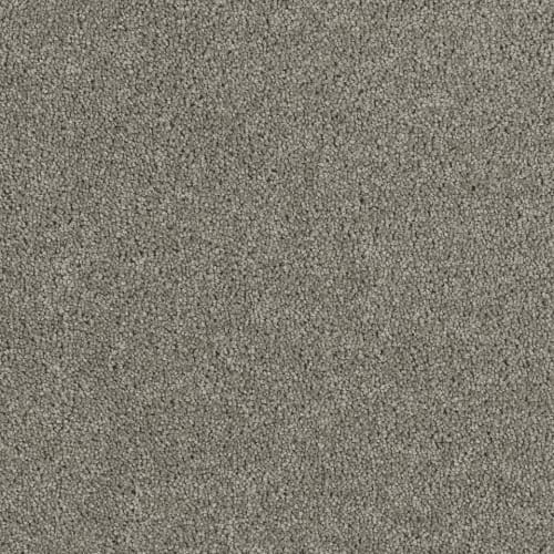 Hollywood in Dark Platinum