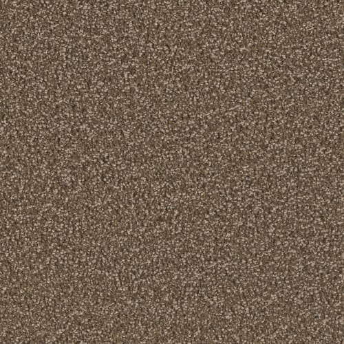 Opulent II in Black Walnut