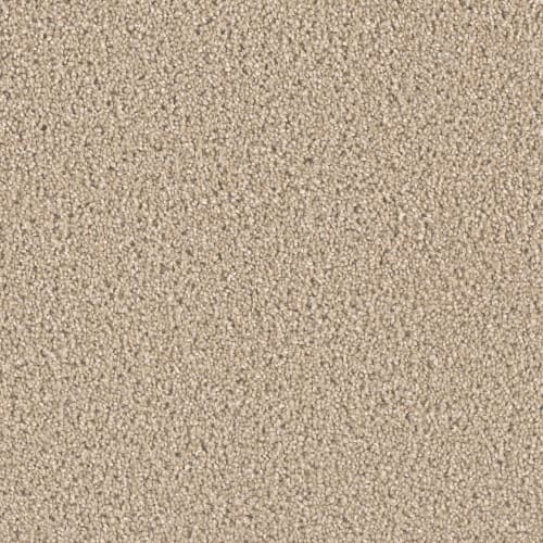 Opulent II in Cashmere