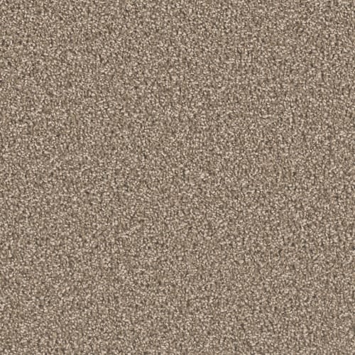 Opulent II in Dove