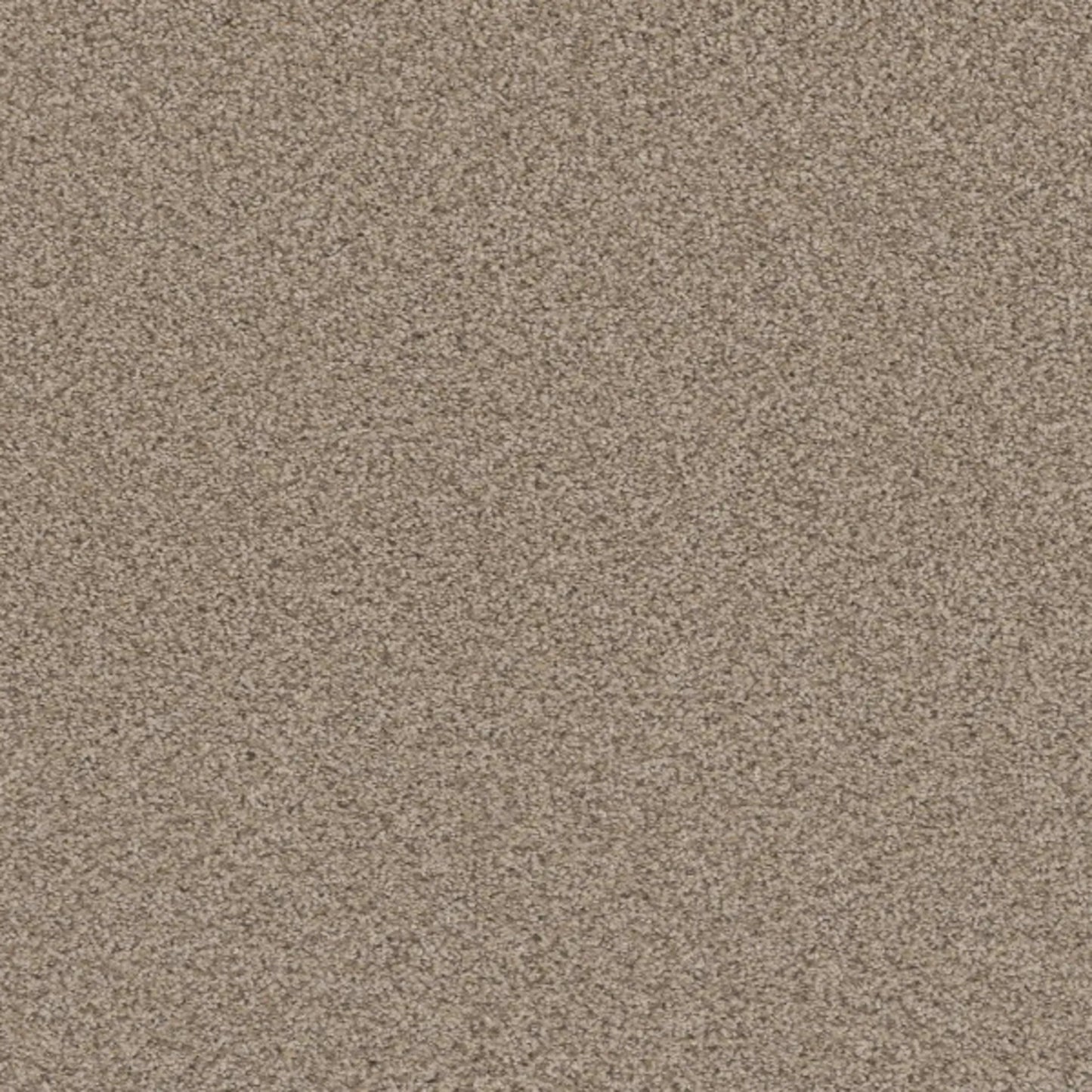 METROPOLITAN II in Linen Carpet